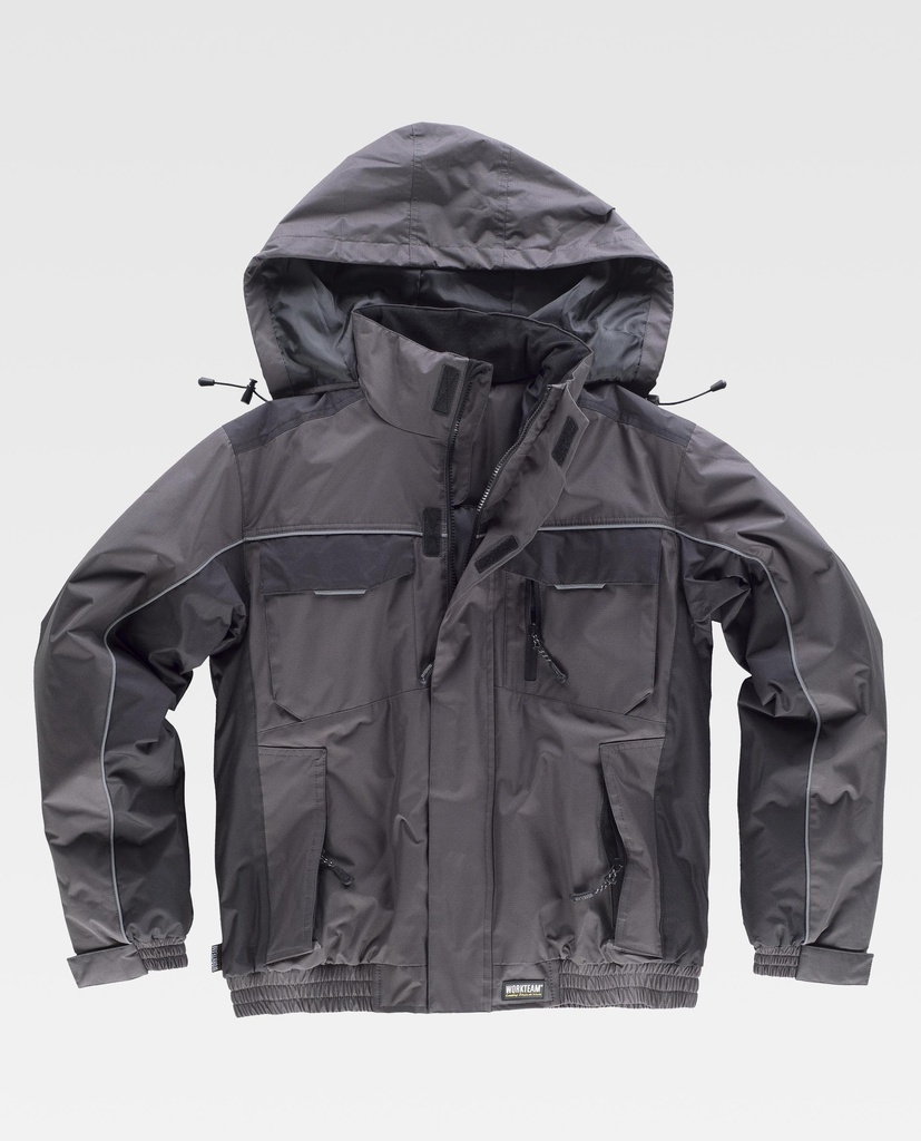 WF1058 WORKTEAM - Piloto
