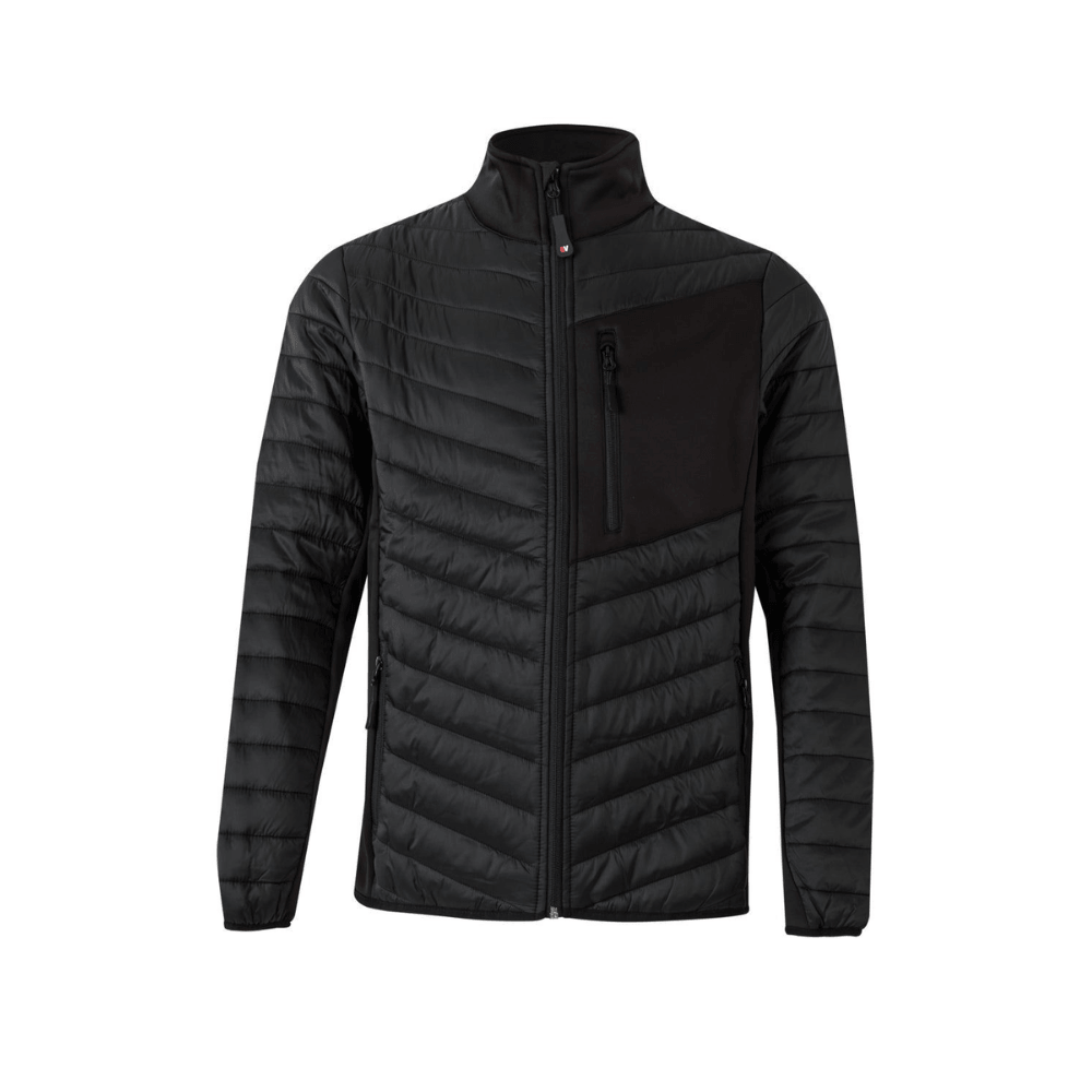 206009 VELILLA - Chaqueta acolchada ligera