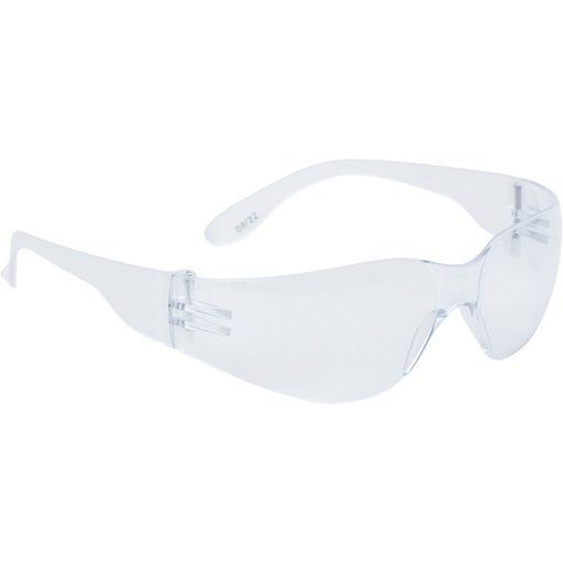 [00157451] BRAVA6 DELTA PLUS - Gafas de protección transparentes con protección lateral y tratamiento antivaho